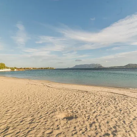 Rosa Sul Mare Σπίτι διακοπών Όλμπια